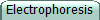 Electrophoresis