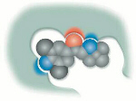 molecularly imprinted polymer formation